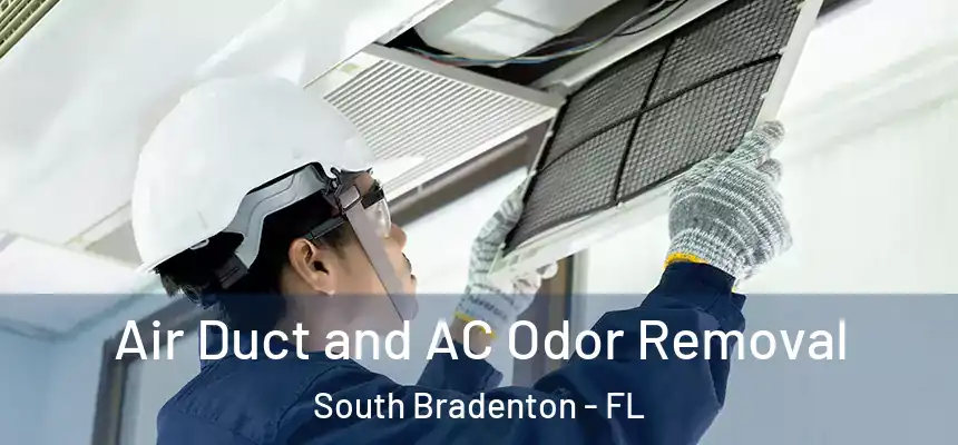 Air Duct and AC Odor Removal South Bradenton - FL
