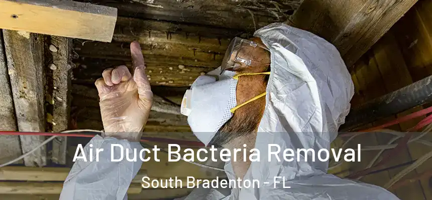 Air Duct Bacteria Removal South Bradenton - FL