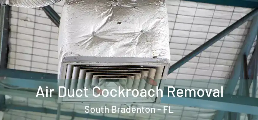 Air Duct Cockroach Removal South Bradenton - FL