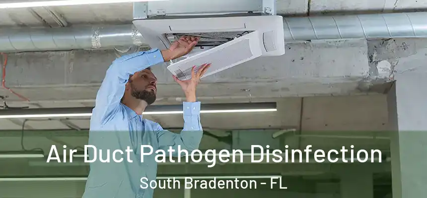 Air Duct Pathogen Disinfection South Bradenton - FL