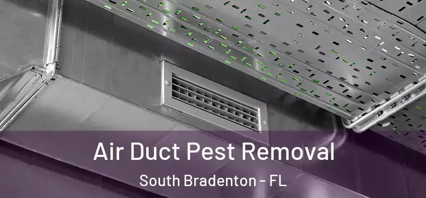 Air Duct Pest Removal South Bradenton - FL