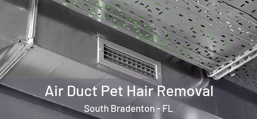 Air Duct Pet Hair Removal South Bradenton - FL