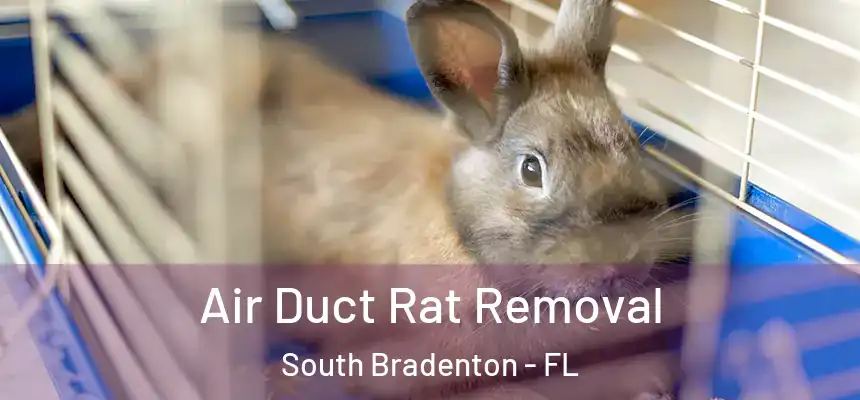 Air Duct Rat Removal South Bradenton - FL