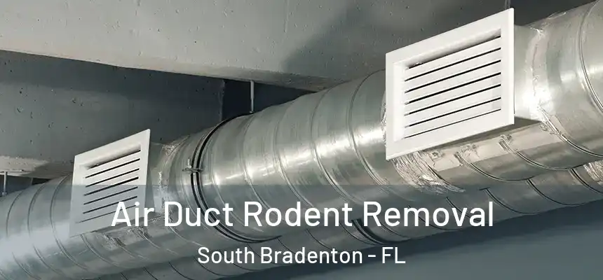 Air Duct Rodent Removal South Bradenton - FL