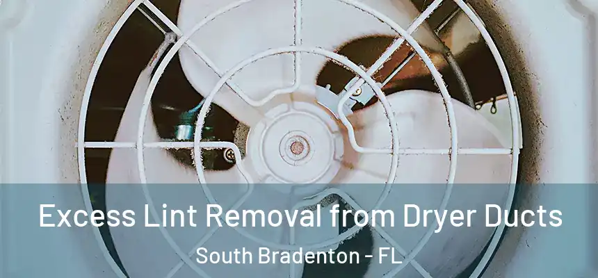 Excess Lint Removal from Dryer Ducts South Bradenton - FL