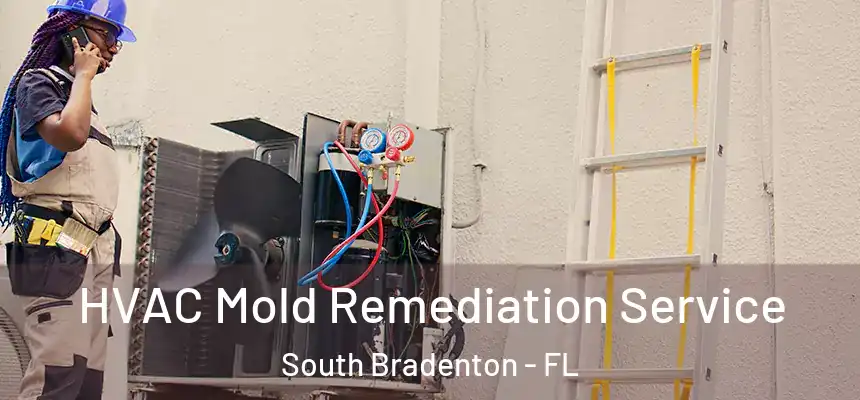 HVAC Mold Remediation Service South Bradenton - FL