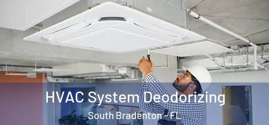 HVAC System Deodorizing South Bradenton - FL