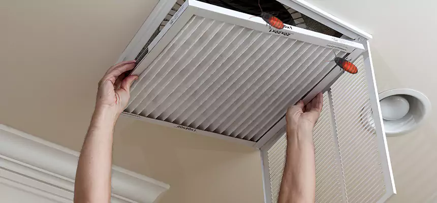 Preventive Cockroach-Proofing for Ducts in South Bradenton