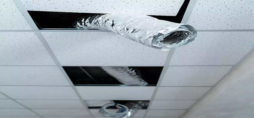 Affordable HVAC Sanitizing After Pest Removal in South Bradenton