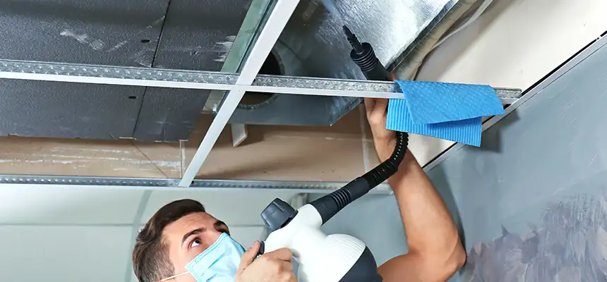 Our Air Duct Rodent Removal Services in South Bradenton, FL