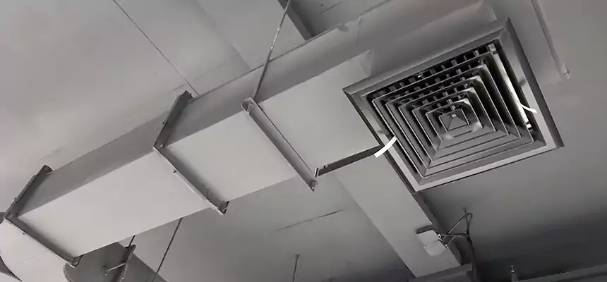 Restorative Allergy Relief Vent Cleaning – Coil, Blower & Housing Detail in South Bradenton