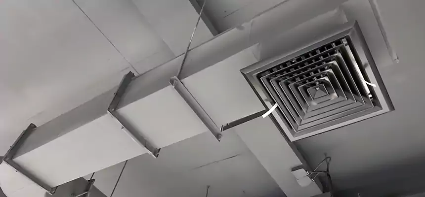 Our Pest Removal From Ducts Services in South Bradenton, FL