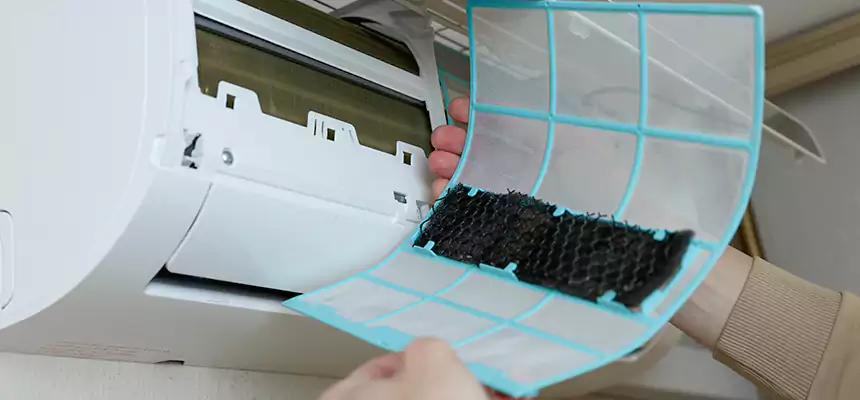 Gentle Ductwork Odor-Control Pet Dander Duct Cleaning in South Bradenton, FL