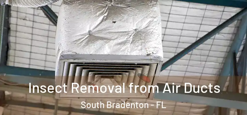 Insect Removal from Air Ducts South Bradenton - FL