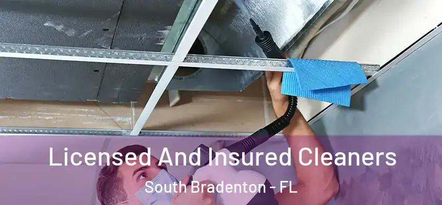 Licensed And Insured Cleaners South Bradenton - FL