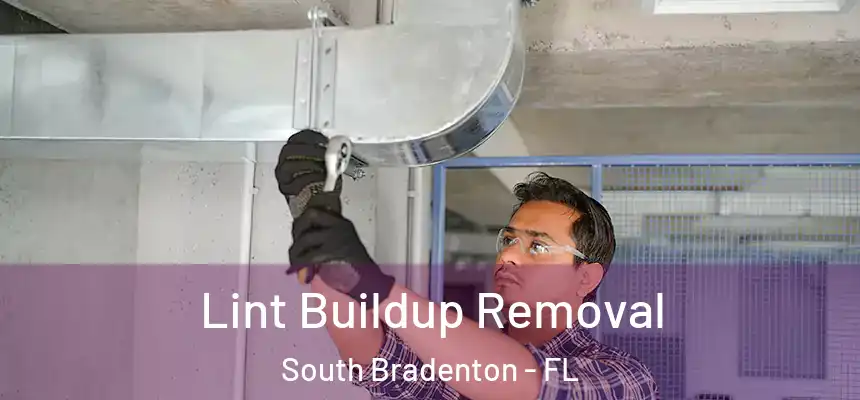 Lint Buildup Removal South Bradenton - FL