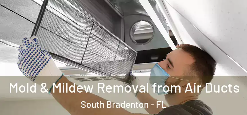 Mold & Mildew Removal from Air Ducts South Bradenton - FL