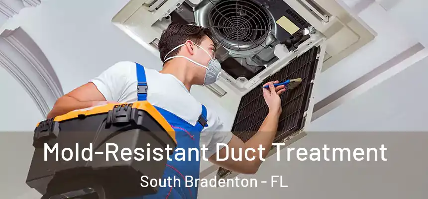 Mold-Resistant Duct Treatment South Bradenton - FL