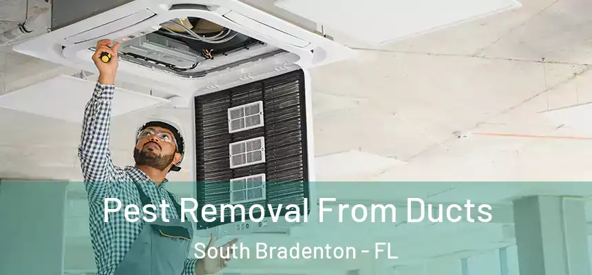 Pest Removal From Ducts South Bradenton - FL