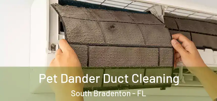 Pet Dander Duct Cleaning South Bradenton - FL