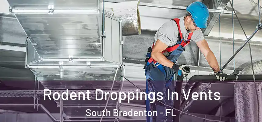 Rodent Droppings In Vents South Bradenton - FL
