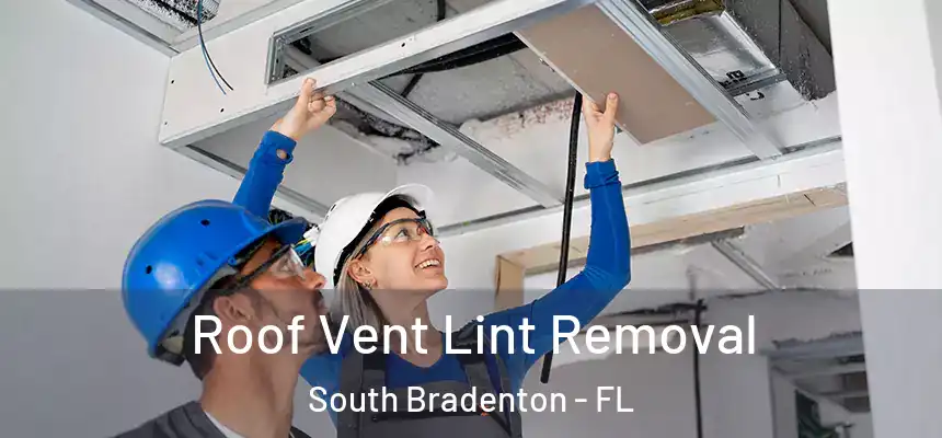 Roof Vent Lint Removal South Bradenton - FL