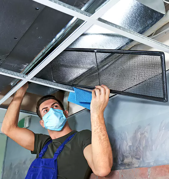 About Air Duct Bacteria Removal in South Bradenton