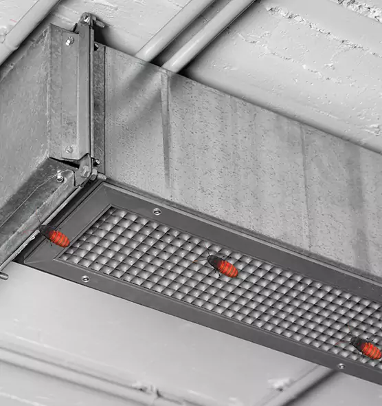 About Air Duct Cockroach Removal in South Bradenton, FL
