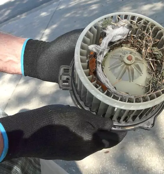 About Air Duct Mice Removal in South Bradenton, FL