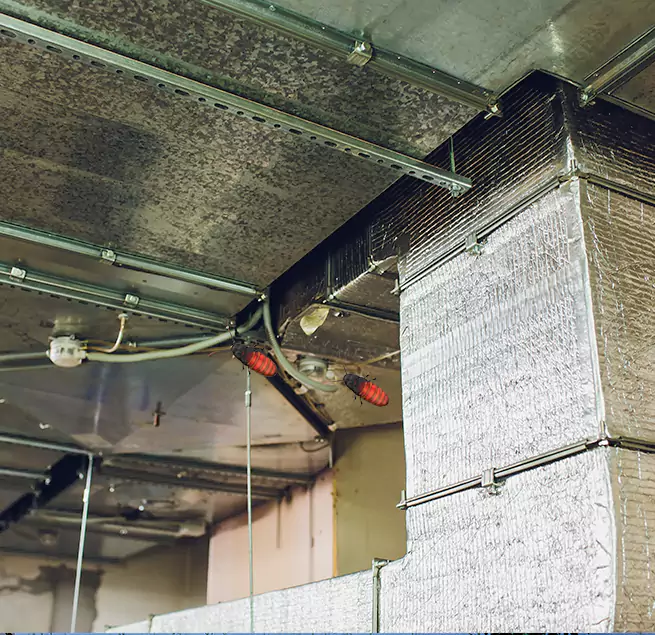 Why Homeowners & Businesses Trust Us in South Bradenton, FL?