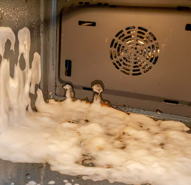 Why Homeowners Businesses Trust Us in South Bradenton, FL?