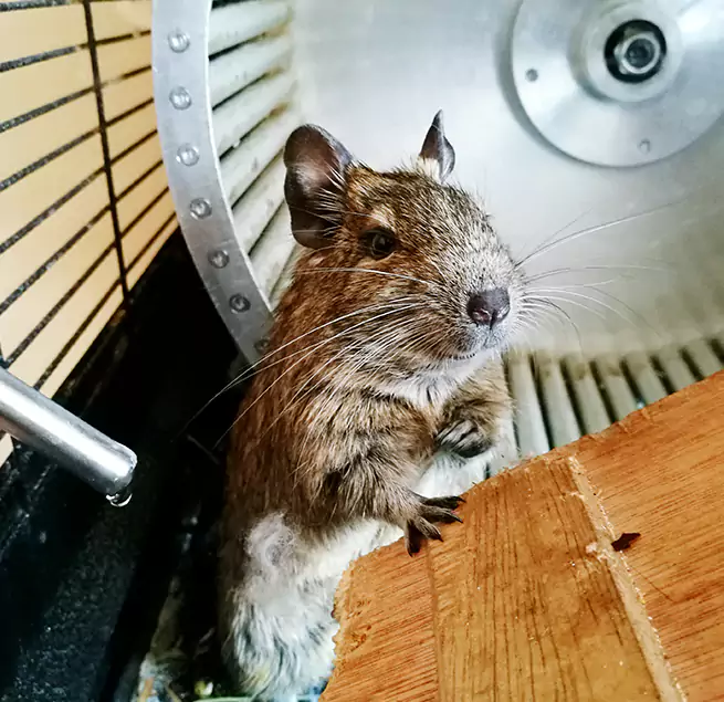 Why Homeowners & Businesses Trust Us South Bradenton, FL