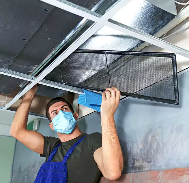 Why Homeowners Businesses Trust Us in South Bradenton, FL