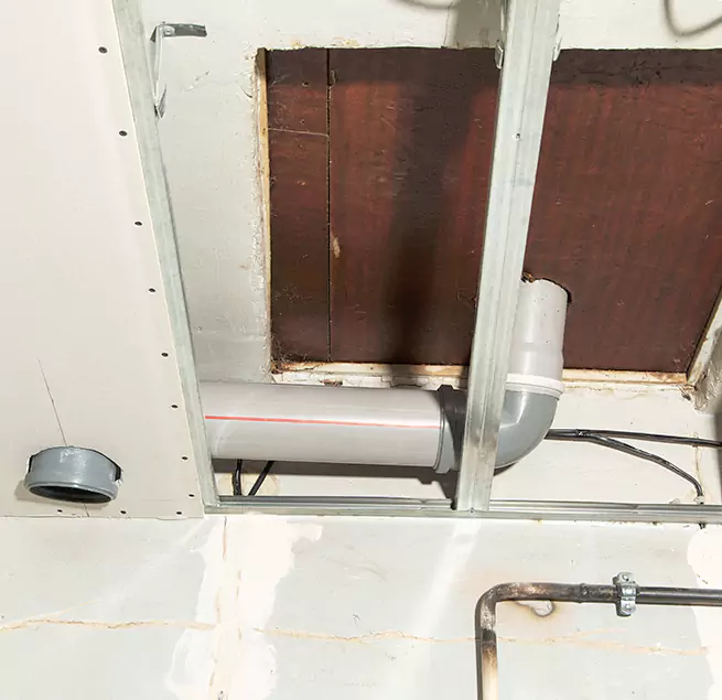 Why Homeowners & Businesses Trust Us in South Bradenton, FL?