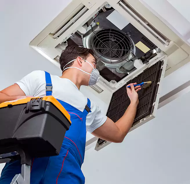 Why Homeowners & Businesses Trust Us in South Bradenton, FL