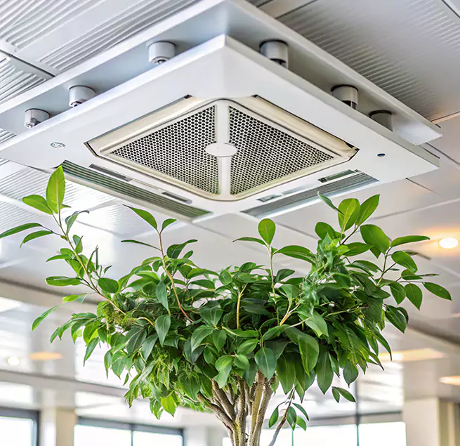 Why Homeowners & Businesses Trust Us in South Bradenton, FL