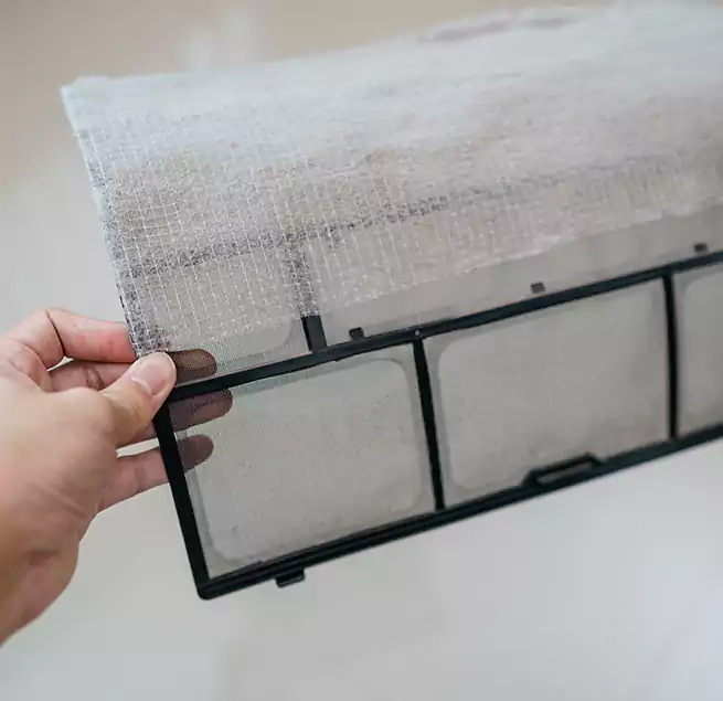 Why Homeowners & Businesses Trust Us in South Bradenton, FL?