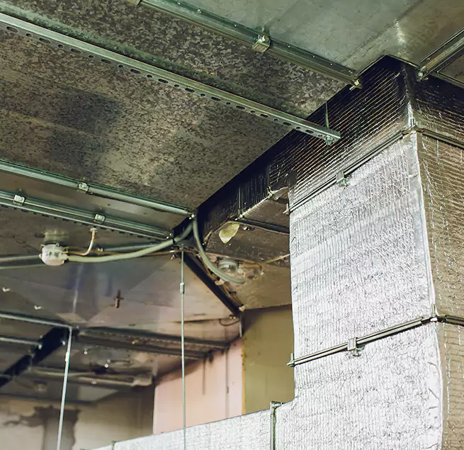 Why Homeowners & Businesses Trust Us in South Bradenton, FL?